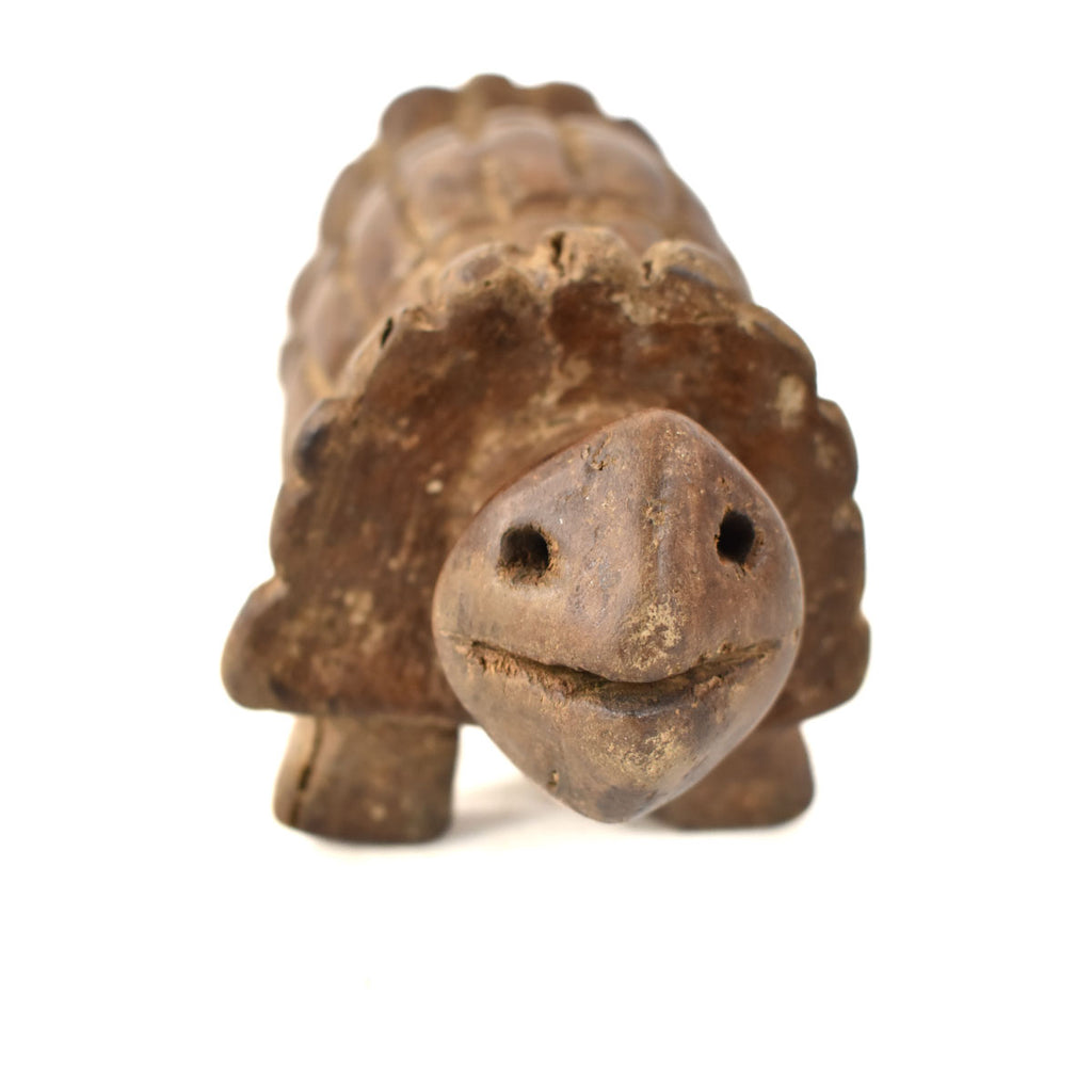 Lega Divination Turtle Congo