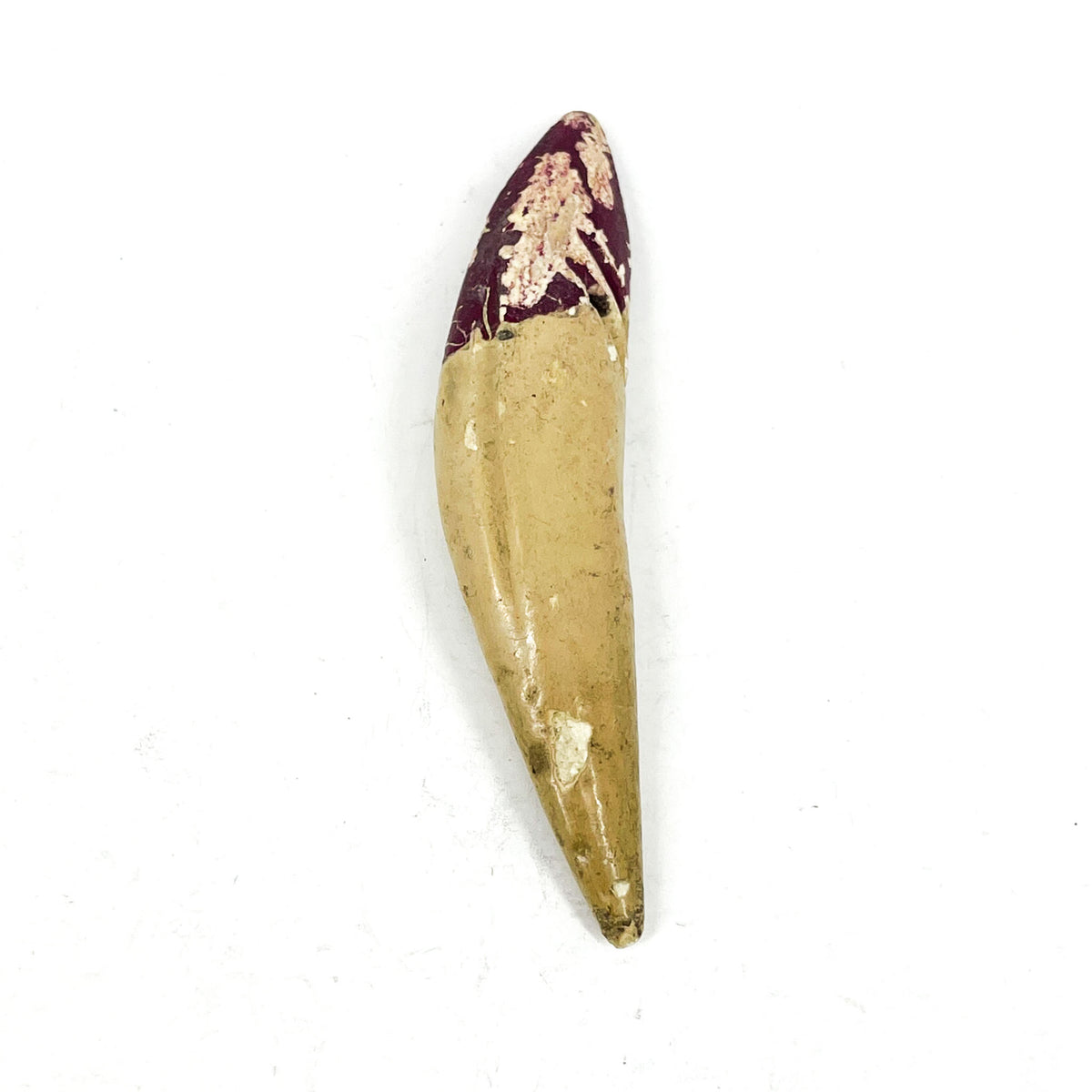 French Faux Lions Tooth Clay Pendant Africa Direct