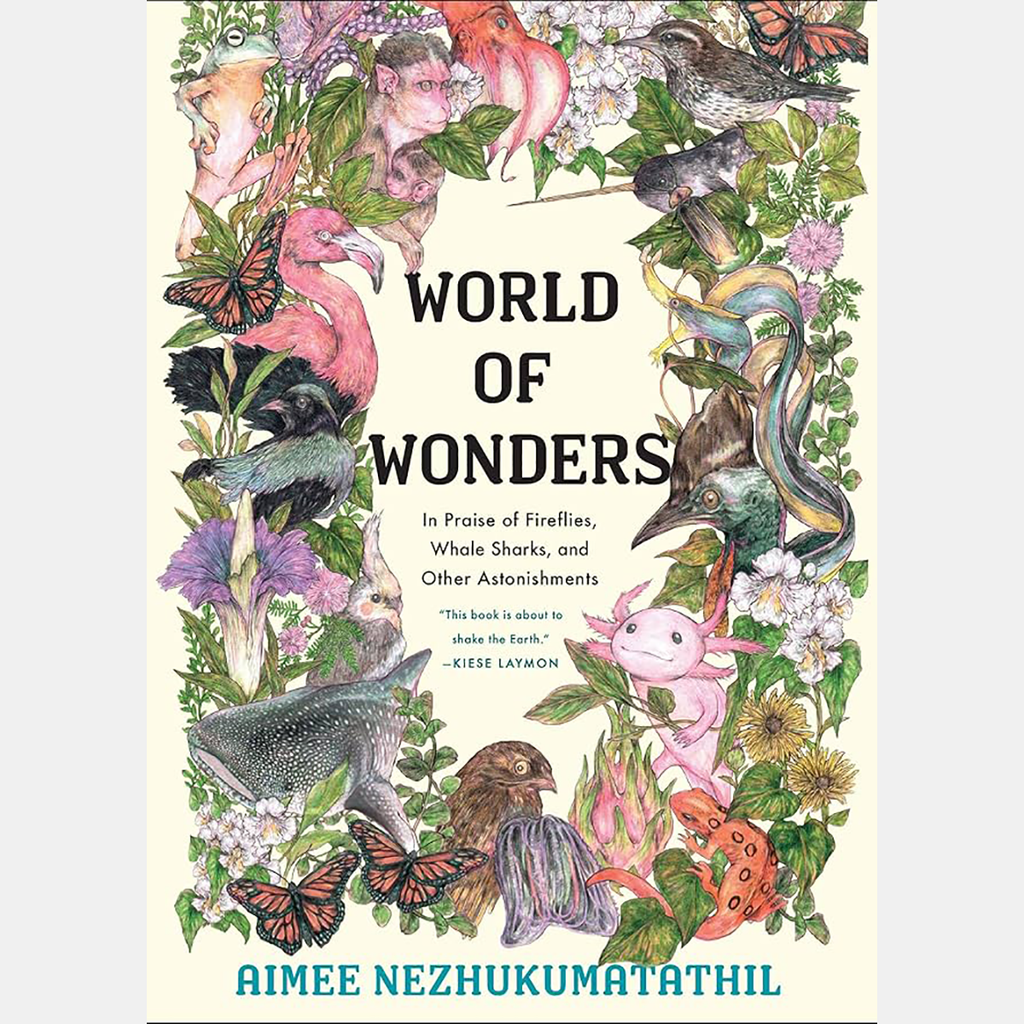 World of Wonders Book