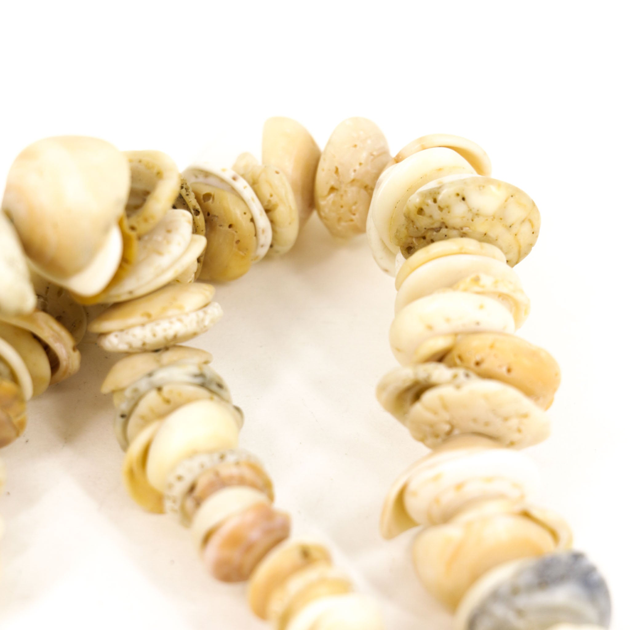 Conus Shell Beads 