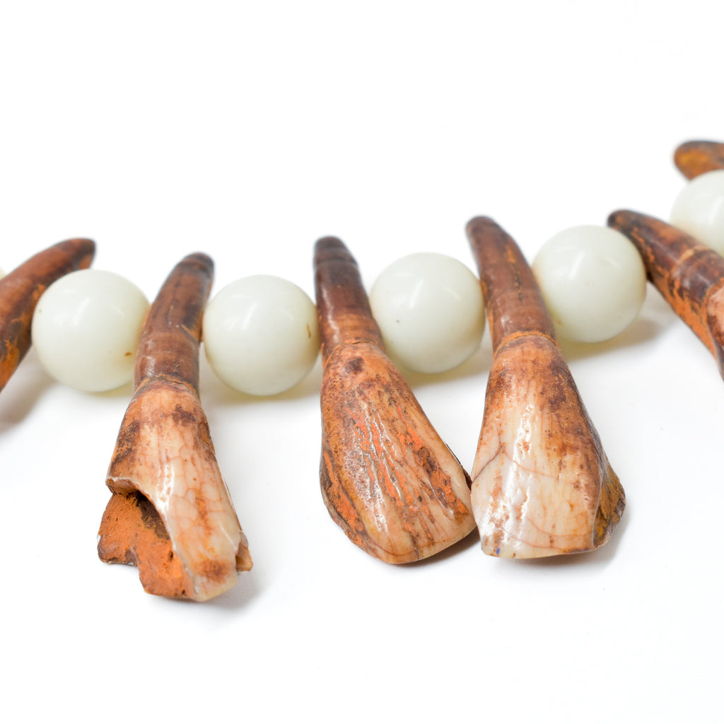 White Pigeon Egg Bohemian Trade Beads With Buffalo Teeth