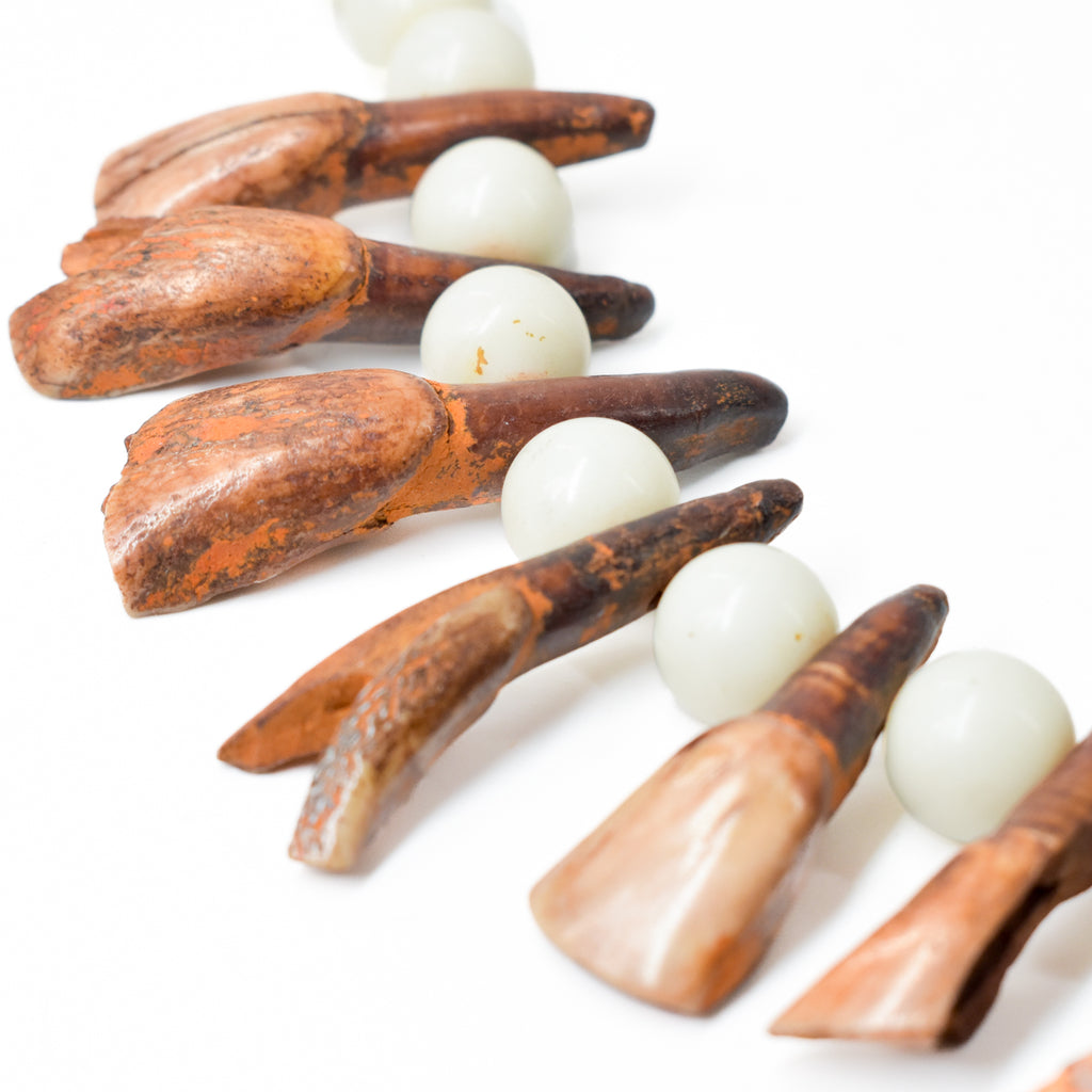 White Pigeon Egg Bohemian Trade Beads With Buffalo Teeth