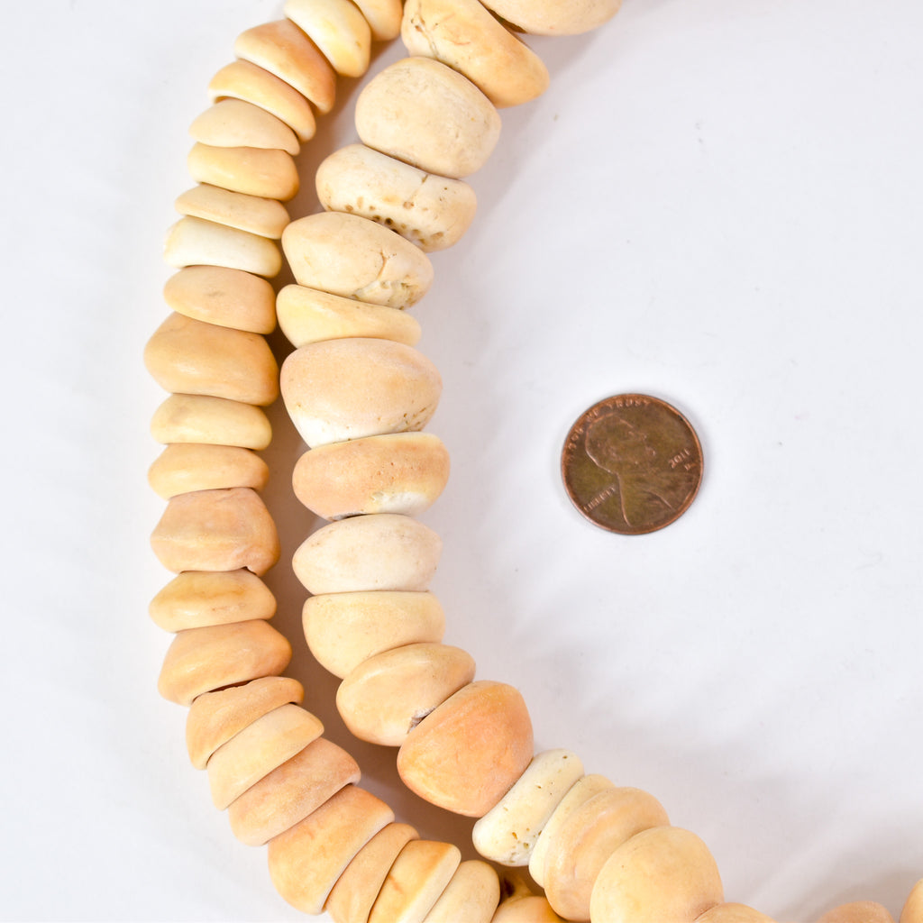 Conus Shell Beads Mauritanian Graduated 40 Inch