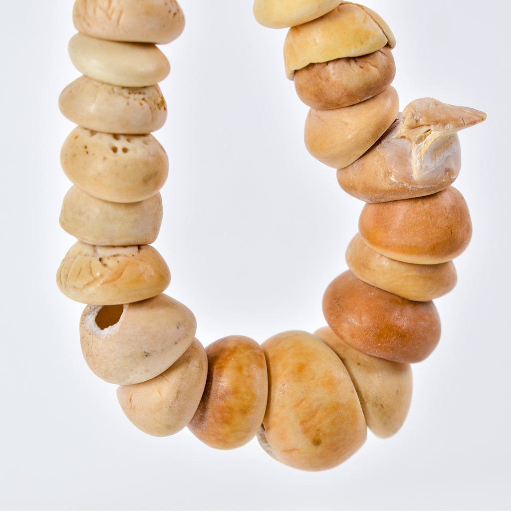 Conus Shell Beads Mauritanian Graduated 40 Inch
