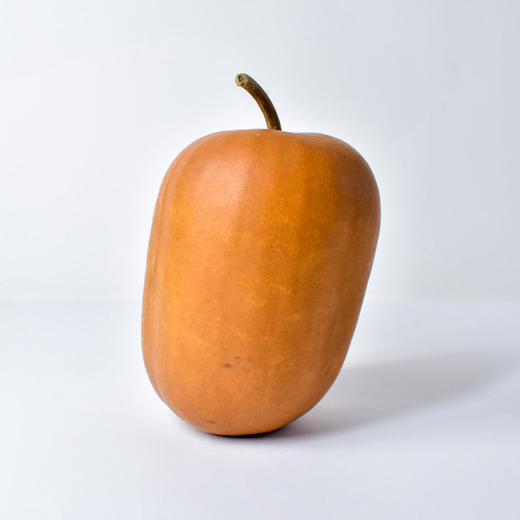 Calabash Shaker Gourd Asante Nigeria