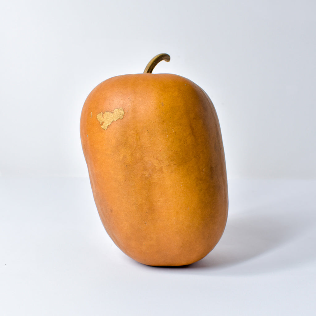 Calabash Shaker Gourd Asante Nigeria