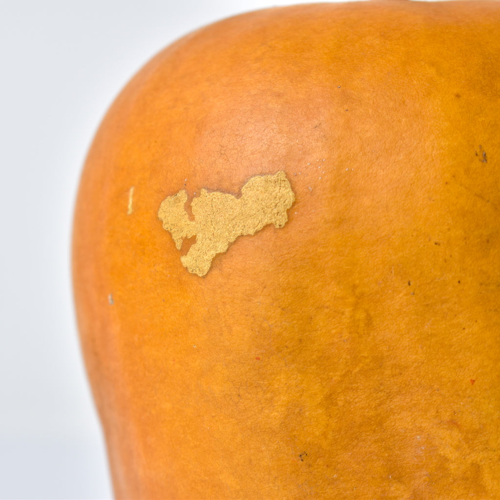 Calabash Shaker Gourd Asante Nigeria