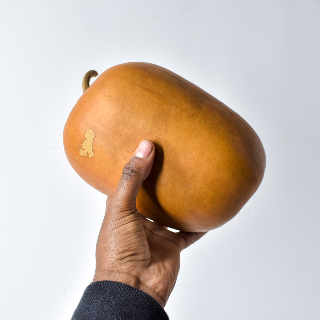 Calabash Shaker Gourd Asante Nigeria