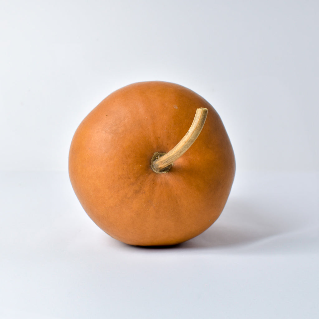 Calabash Shaker Gourd Asante Nigeria