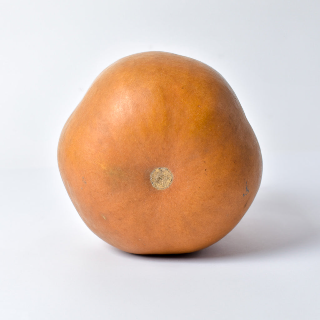 Calabash Shaker Gourd Asante Nigeria