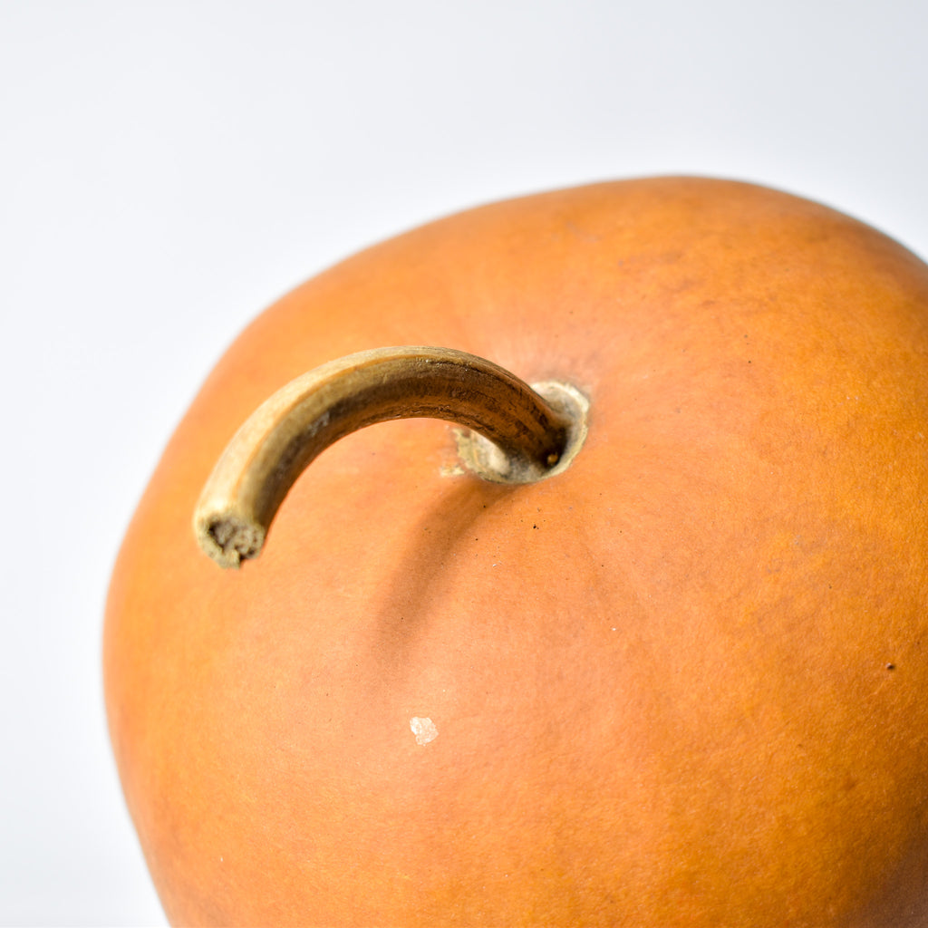 Calabash Shaker Gourd Asante Nigeria