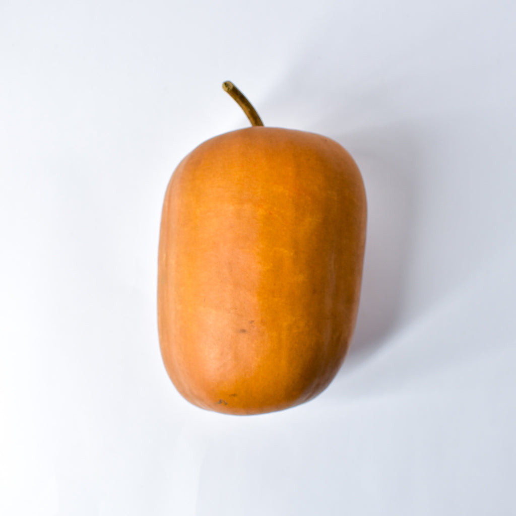 Calabash Shaker Gourd Asante Nigeria
