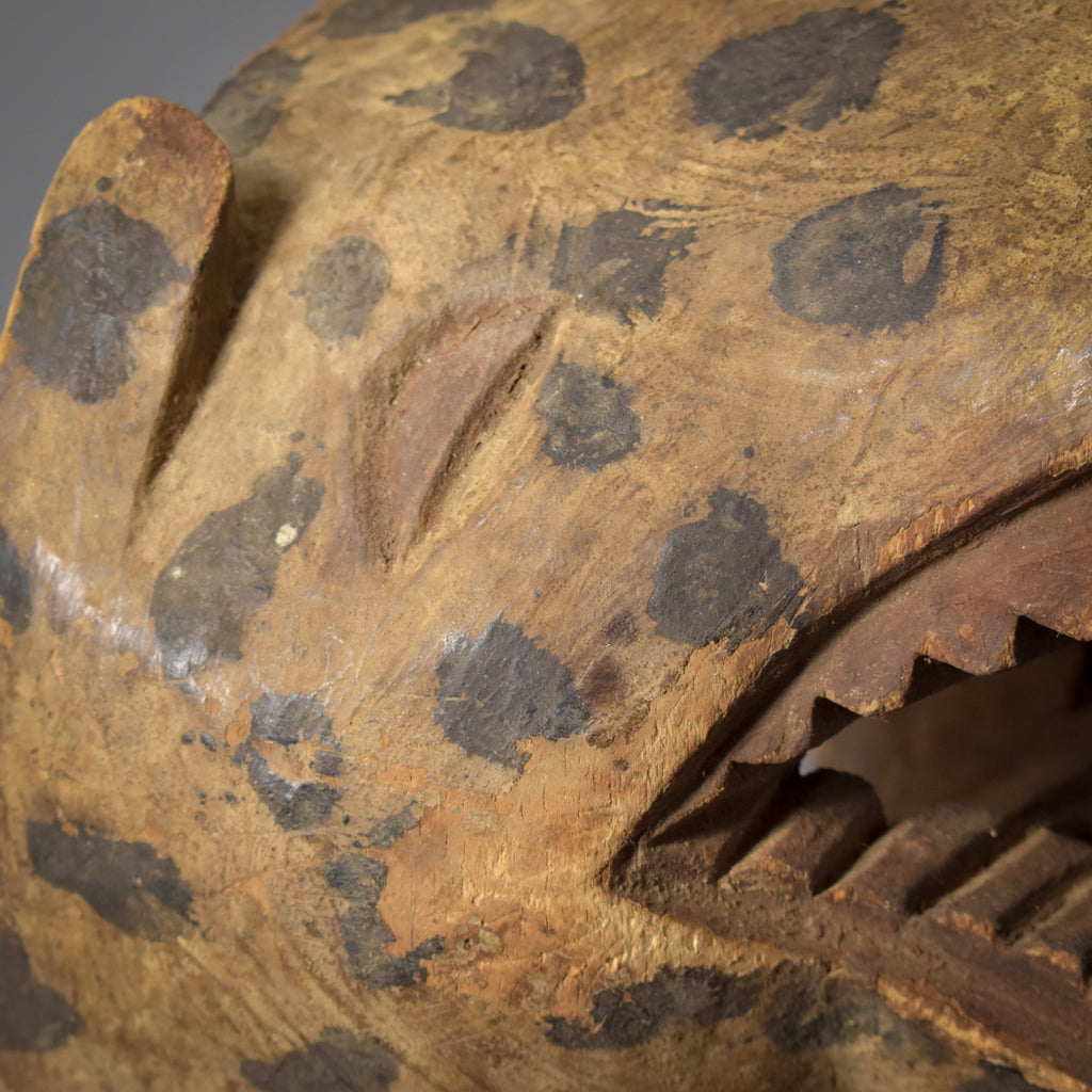 Songye Leopard Mask Congo