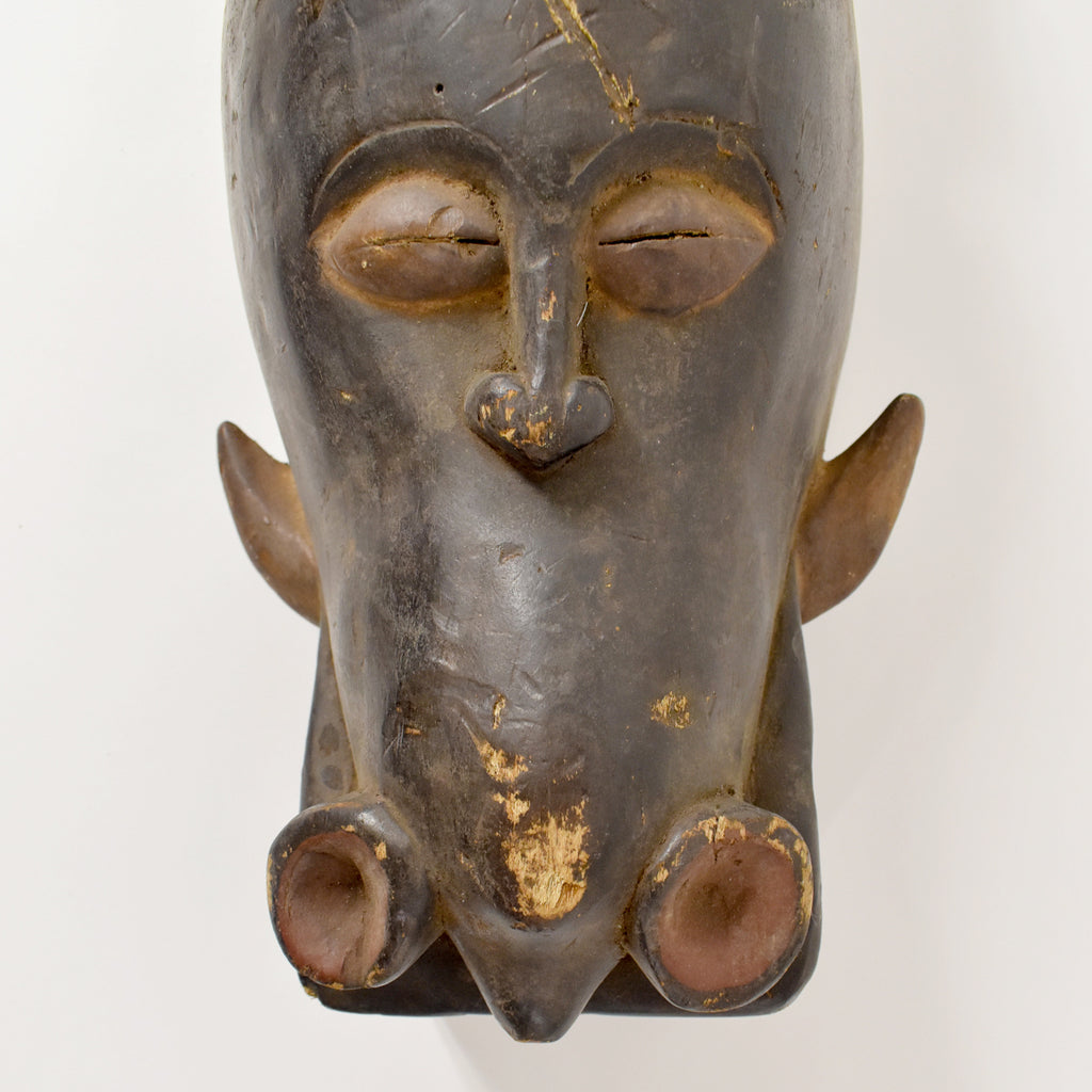 Baule Wild Boar Animal Mask Côte d'Ivoire