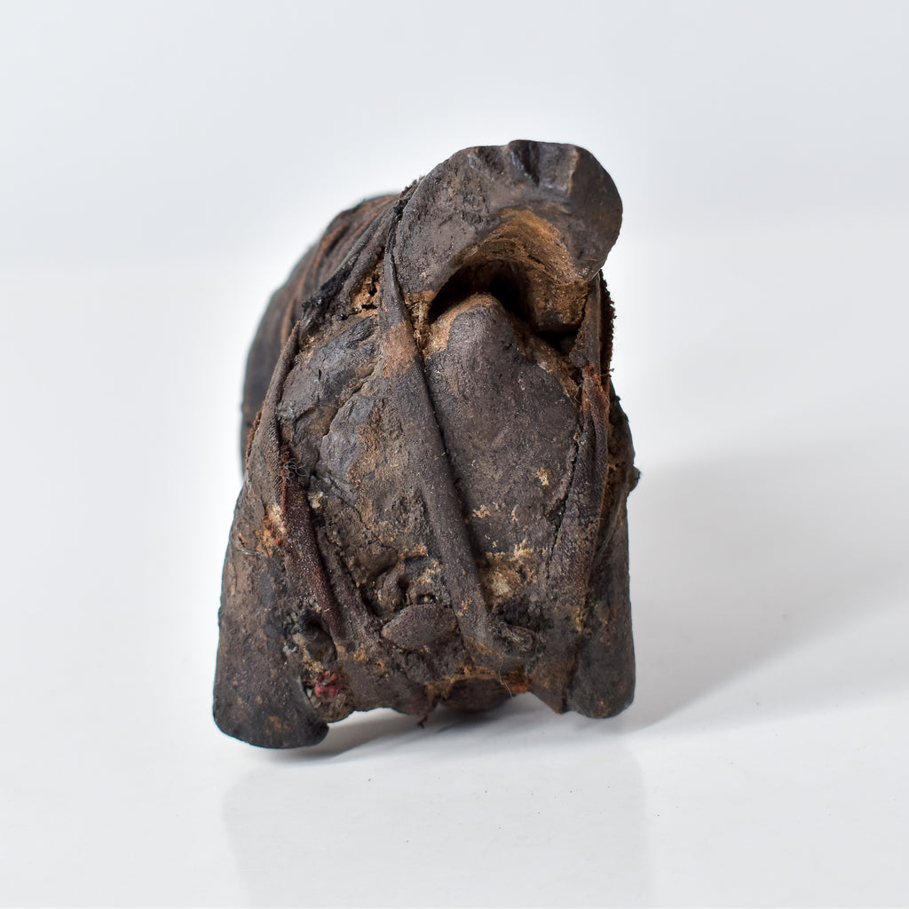 Zigua Boar Fetish Figure Tanzania