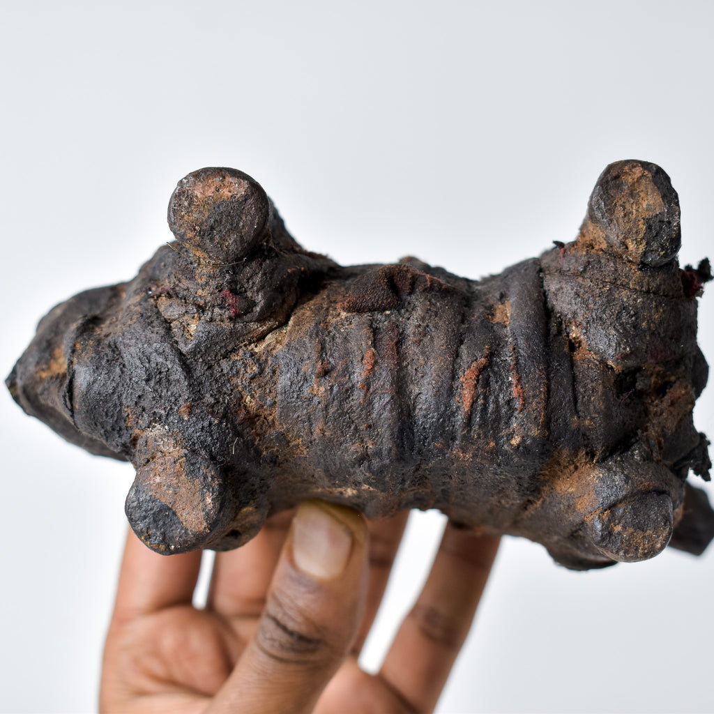 Zigua Boar Fetish Figure Tanzania