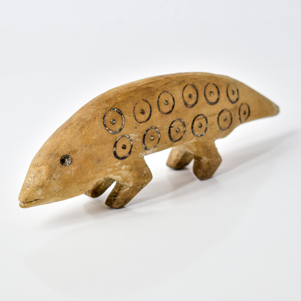 Lega Chameleon Congo