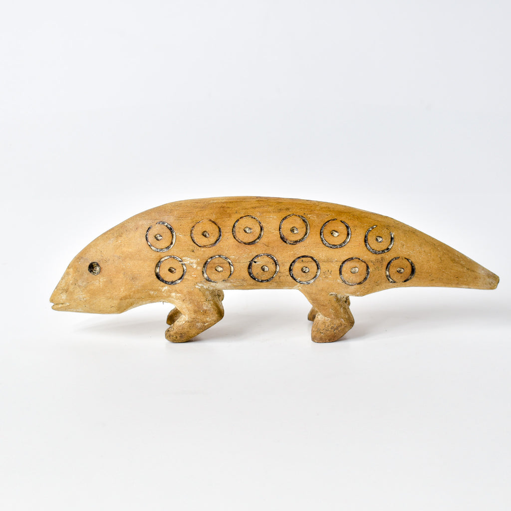 Lega Chameleon Congo