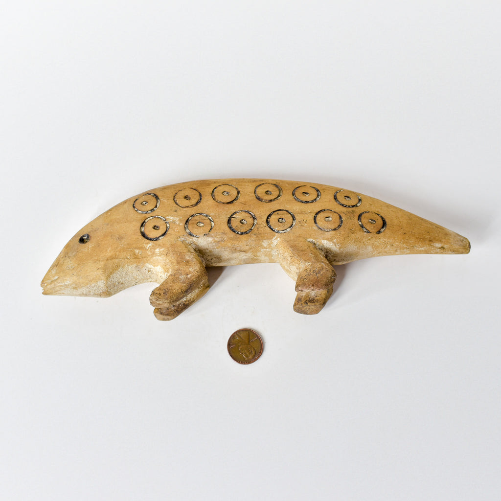 Lega Chameleon Congo