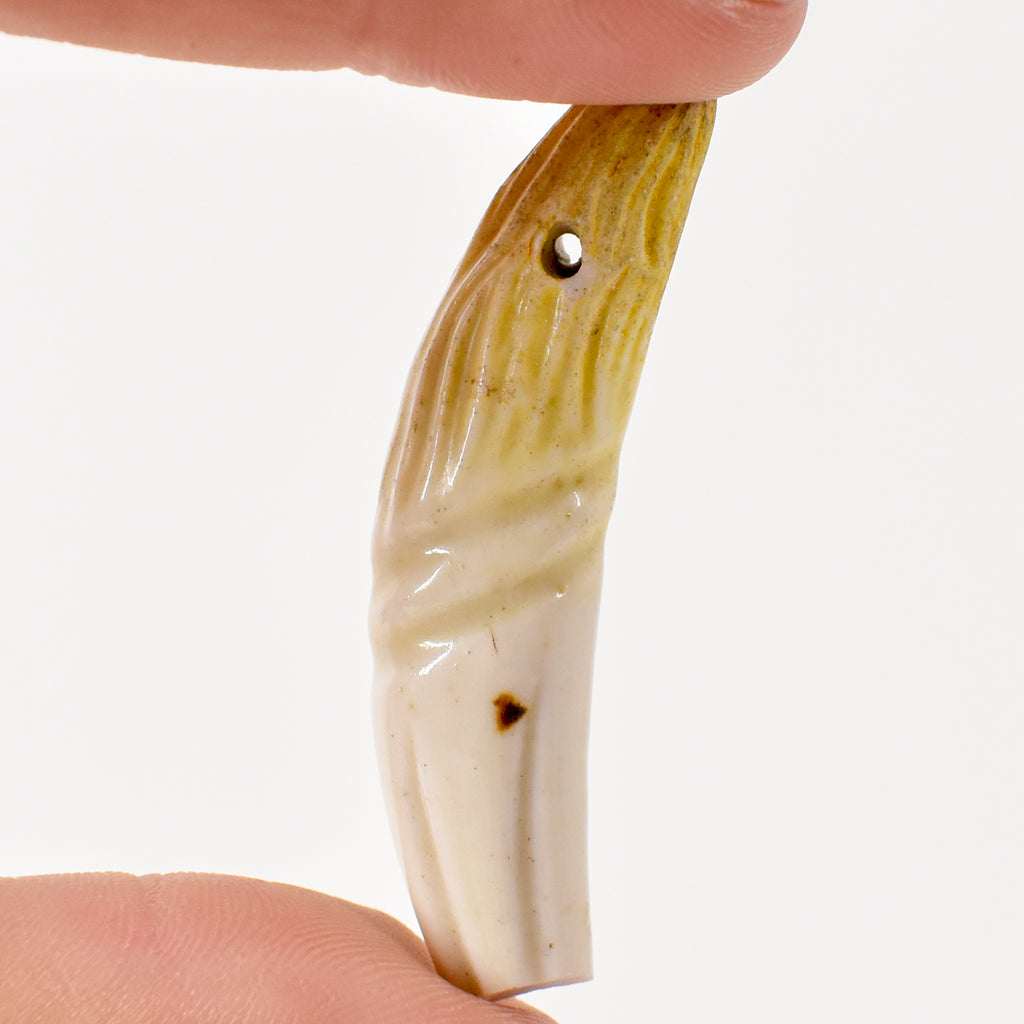 French Faux Lions Tooth Glass Pendant