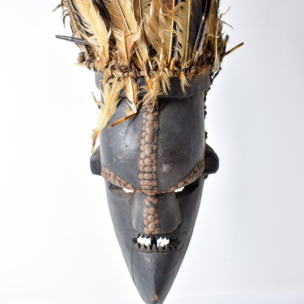 Salampasu Feathered Mask Congo