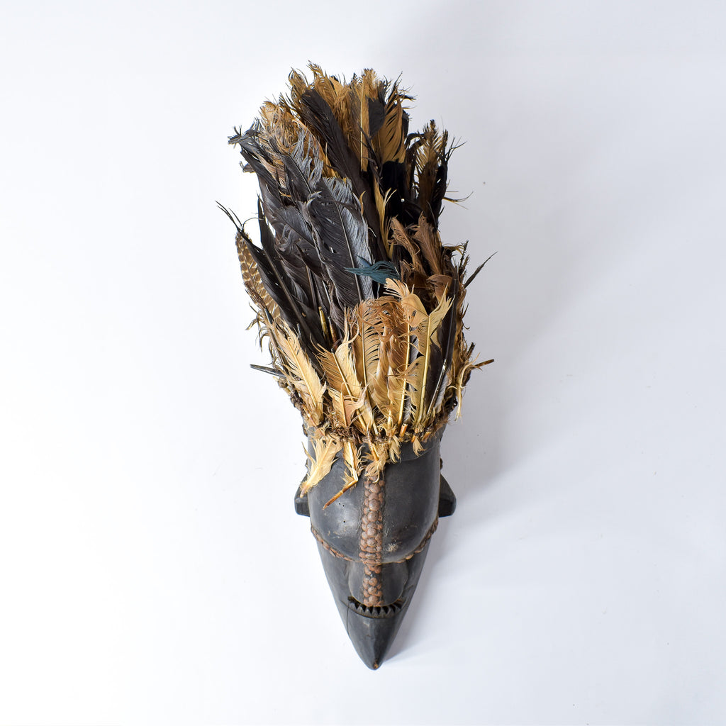 Salampasu Feathered Mask Congo