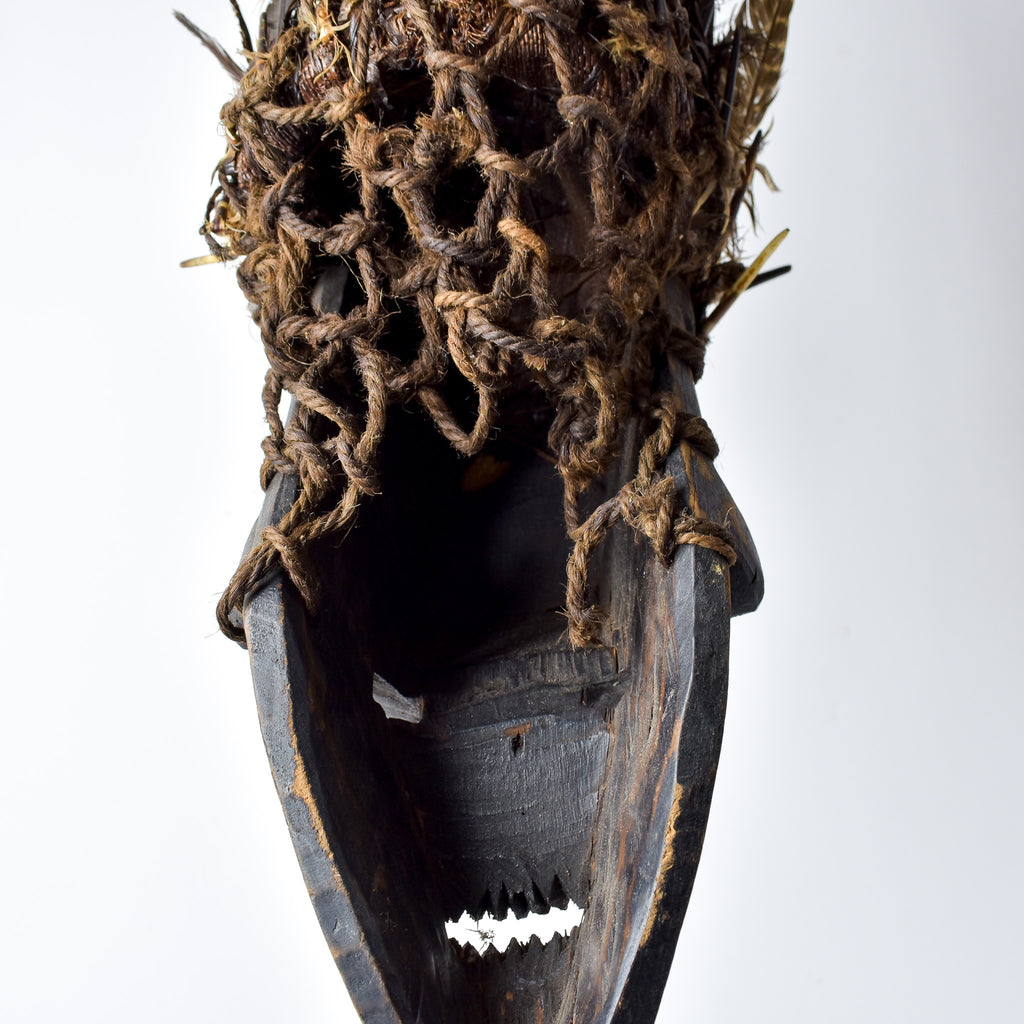 Salampasu Feathered Mask Congo