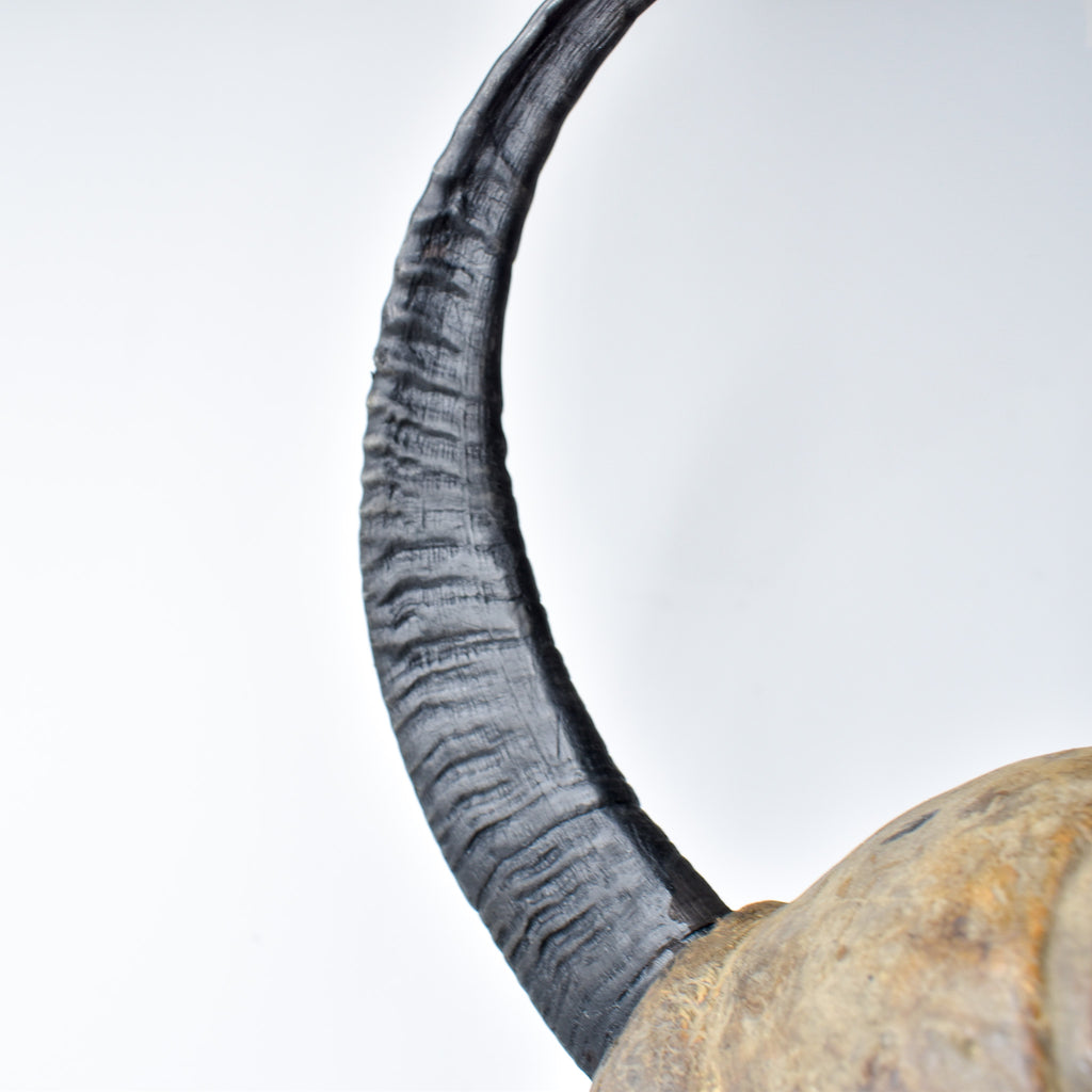 Songye Nkishi Power Figure Congo