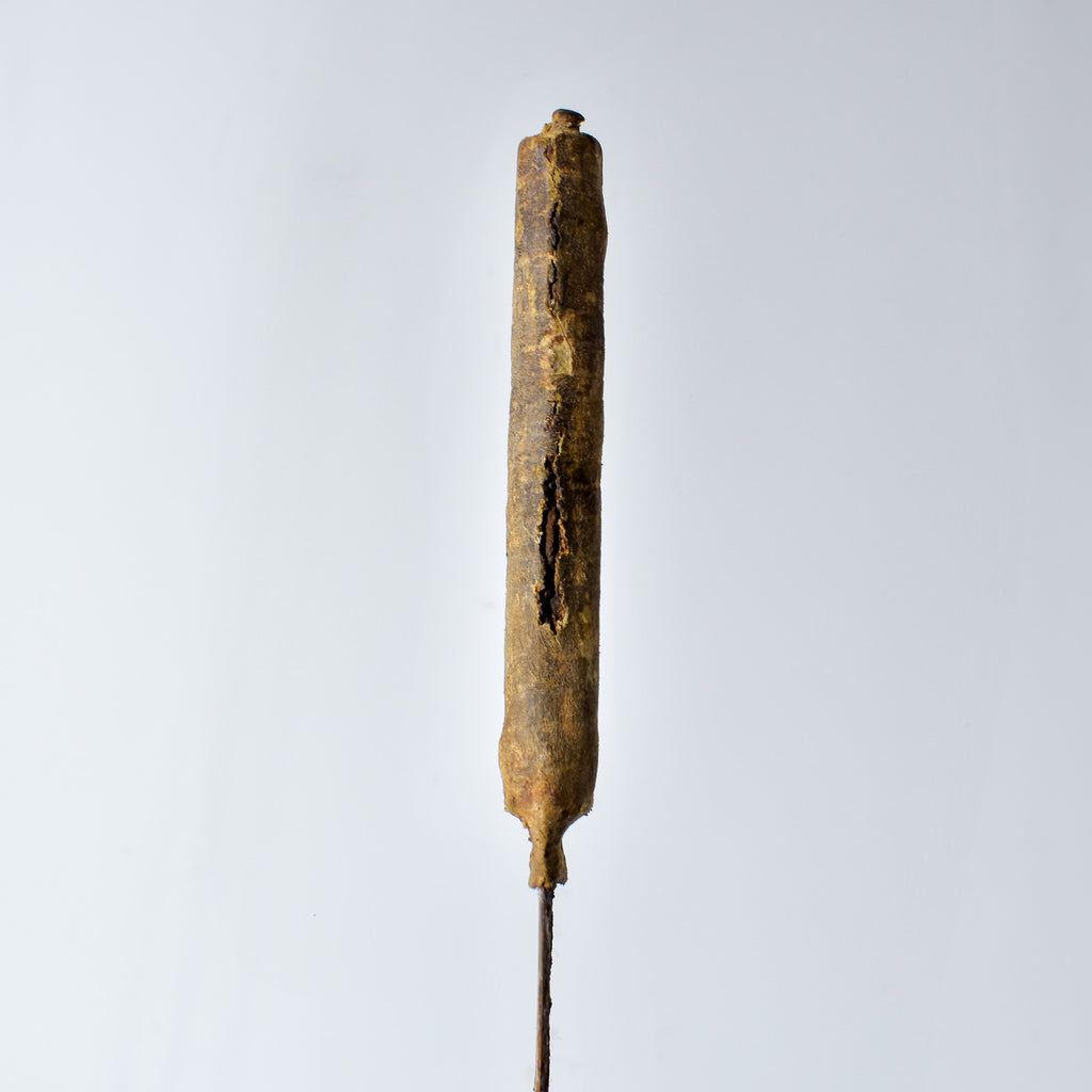 Asante Iron Sword with Wood Handle Ghana