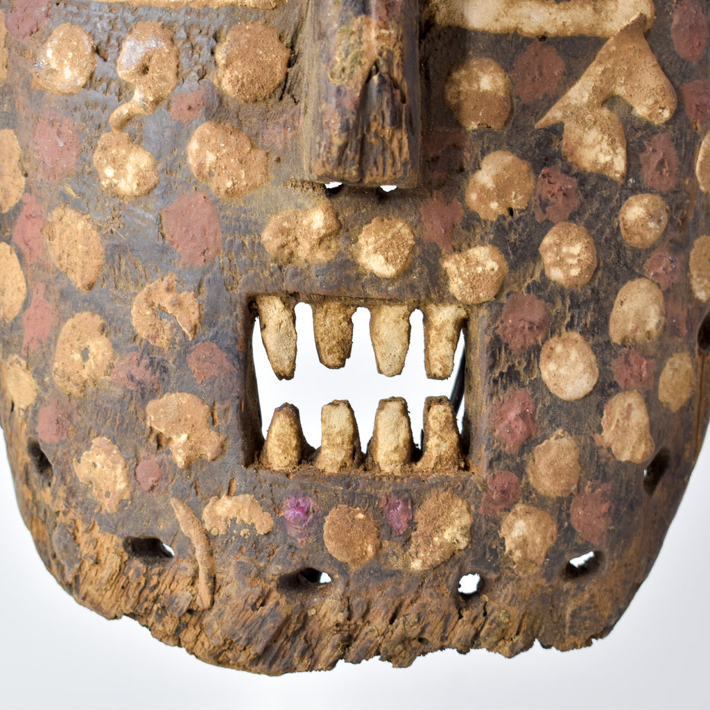 Kumu Komo Spotted Mask Congo