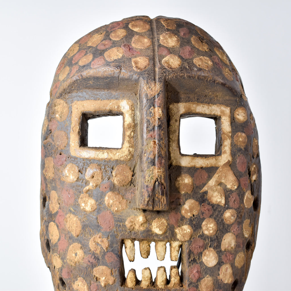 Kumu Komo Spotted Mask Congo