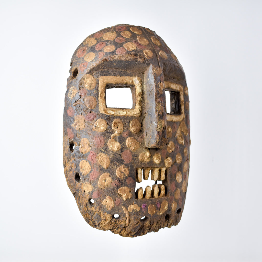 Kumu Komo Spotted Mask Congo
