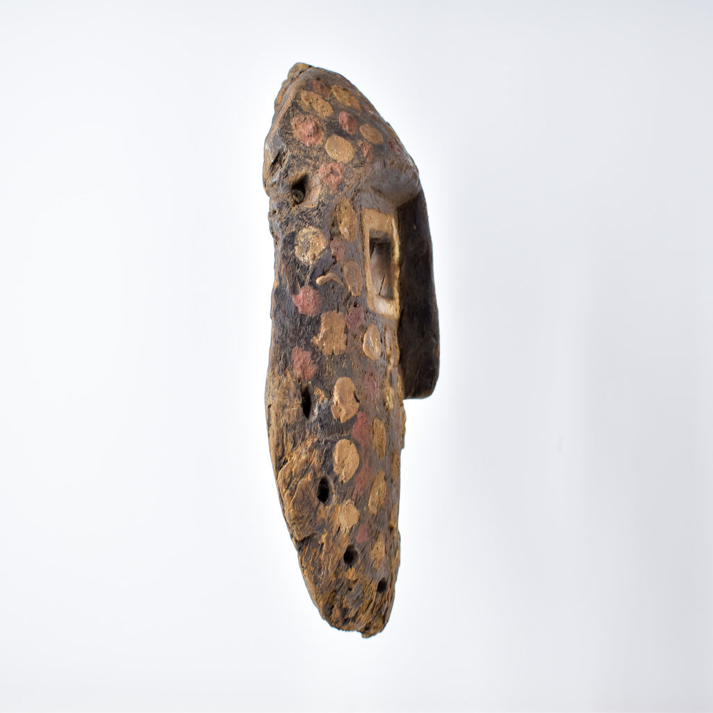 Kumu Komo Spotted Mask Congo