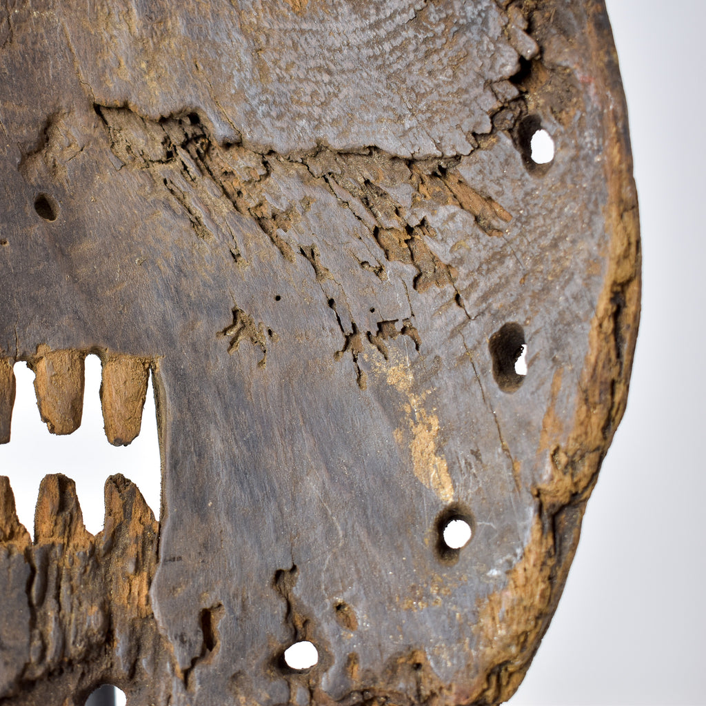 Kumu Komo Spotted Mask Congo