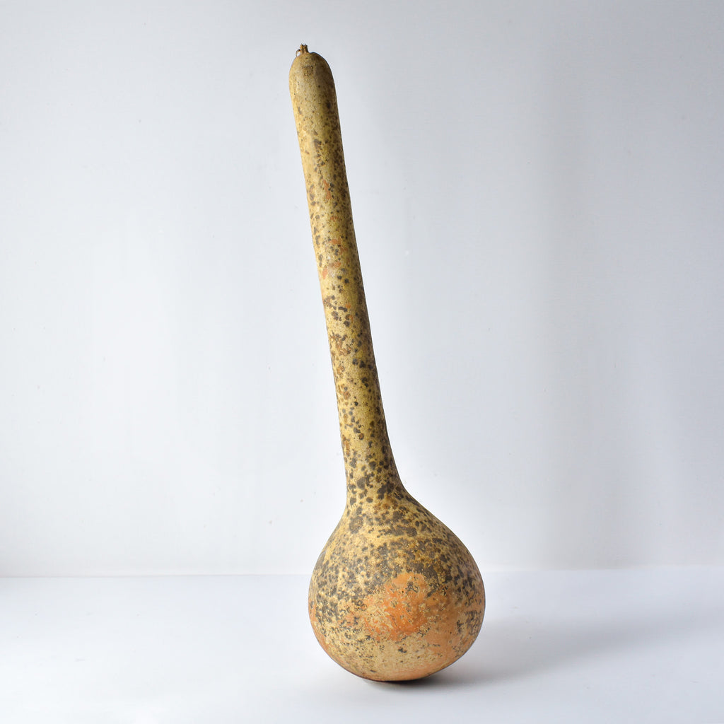 Calabash Shaker Gourd Asante Nigeria