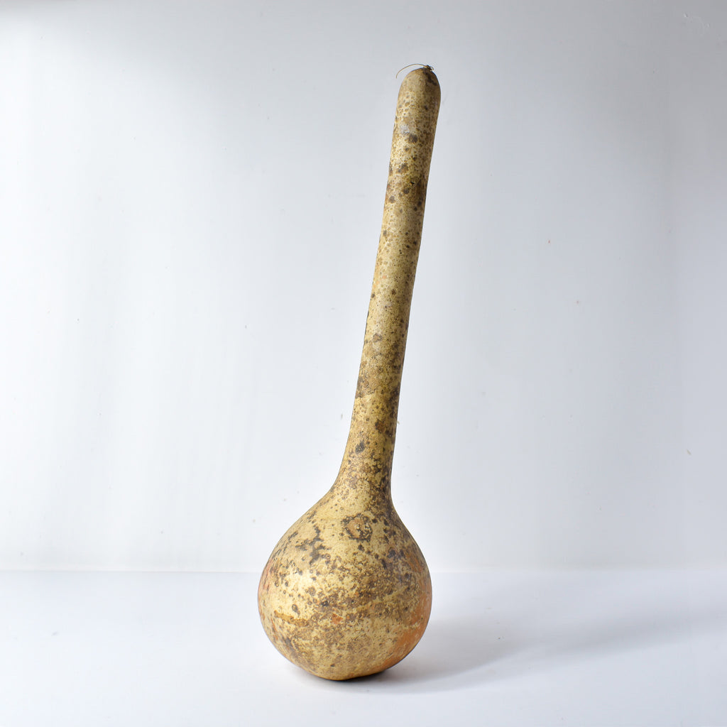 Calabash Shaker Gourd Asante Nigeria