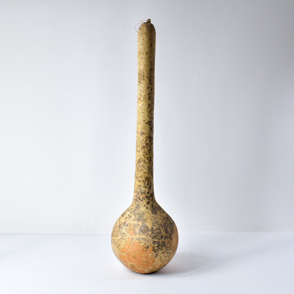 Calabash Shaker Gourd Asante Nigeria