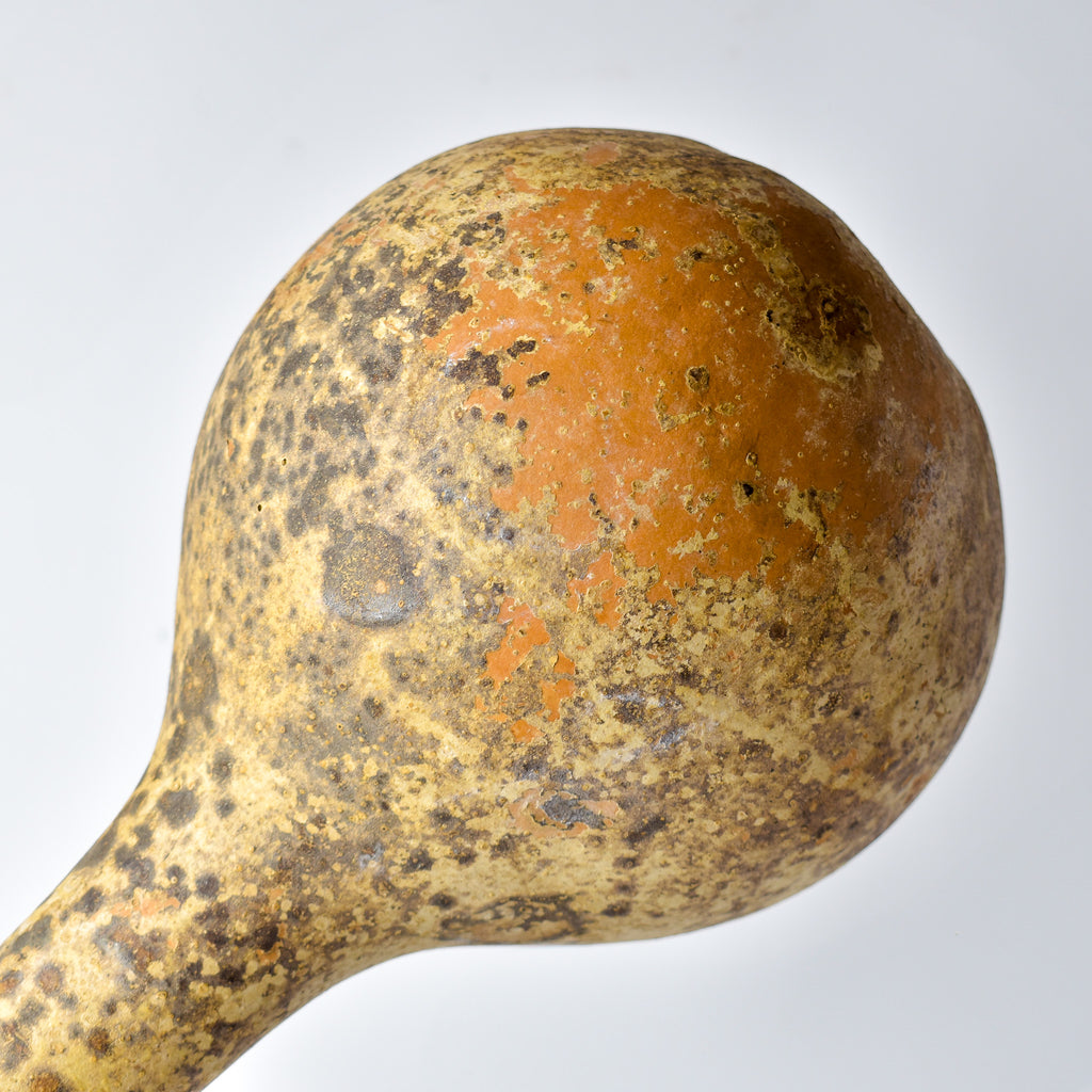Calabash Shaker Gourd Asante Nigeria