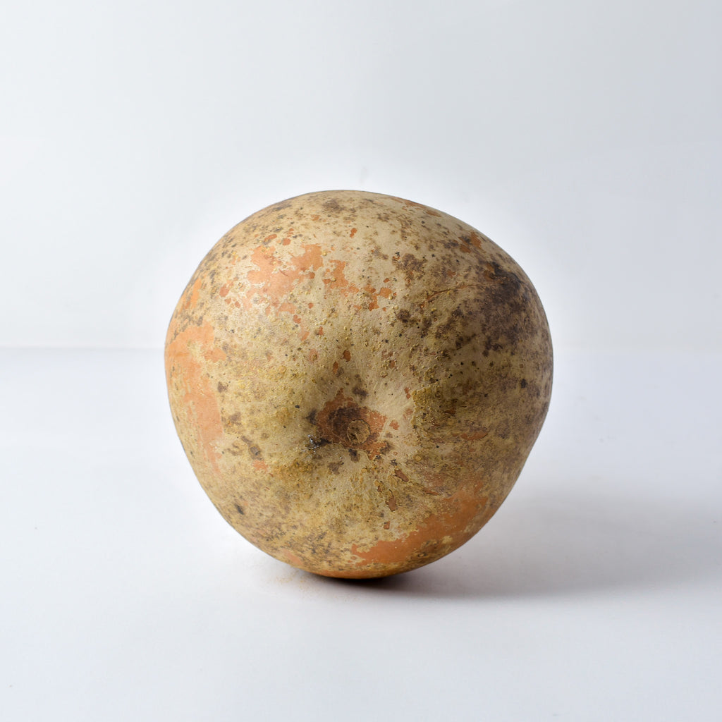 Calabash Shaker Gourd Asante Nigeria