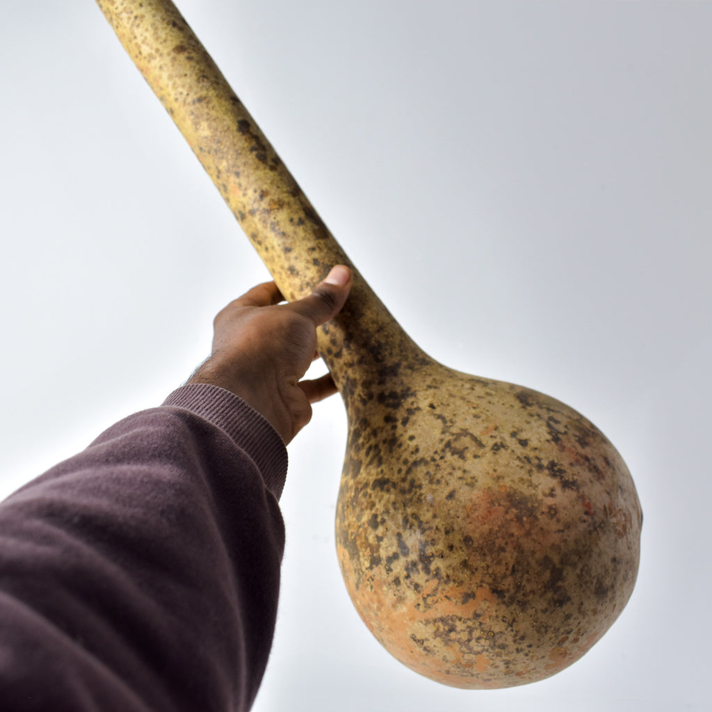 Calabash Shaker Gourd Asante Nigeria