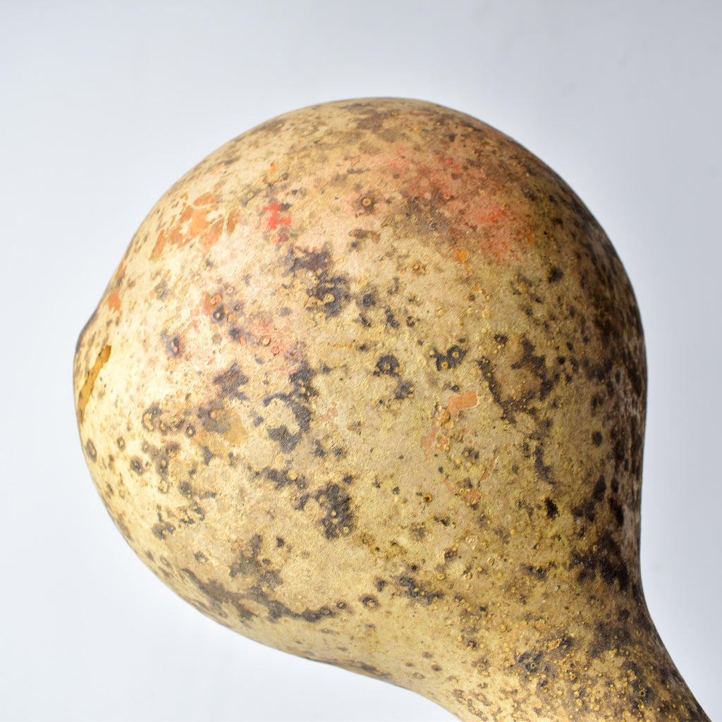 Calabash Shaker Gourd Asante Nigeria