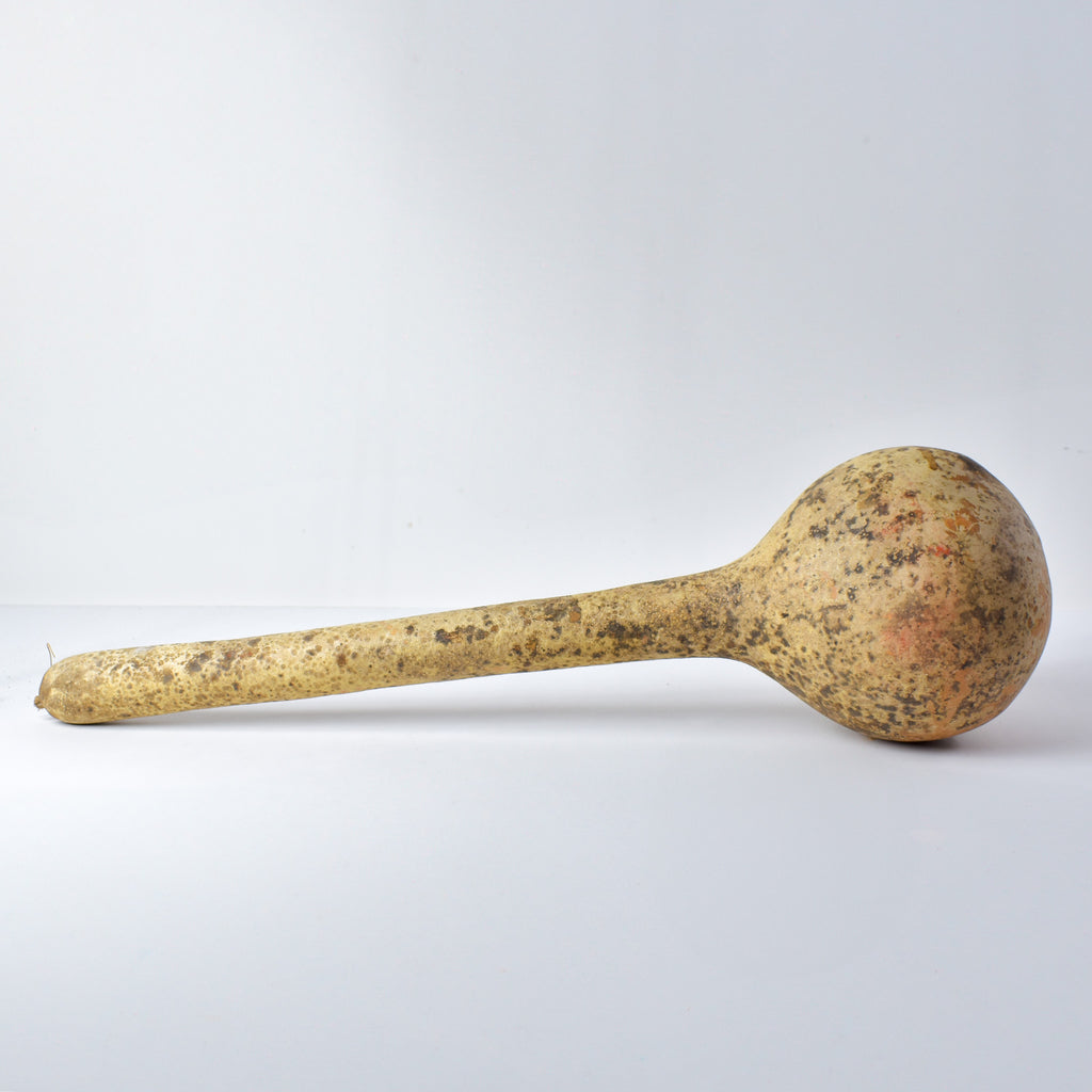 Calabash Shaker Gourd Asante Nigeria