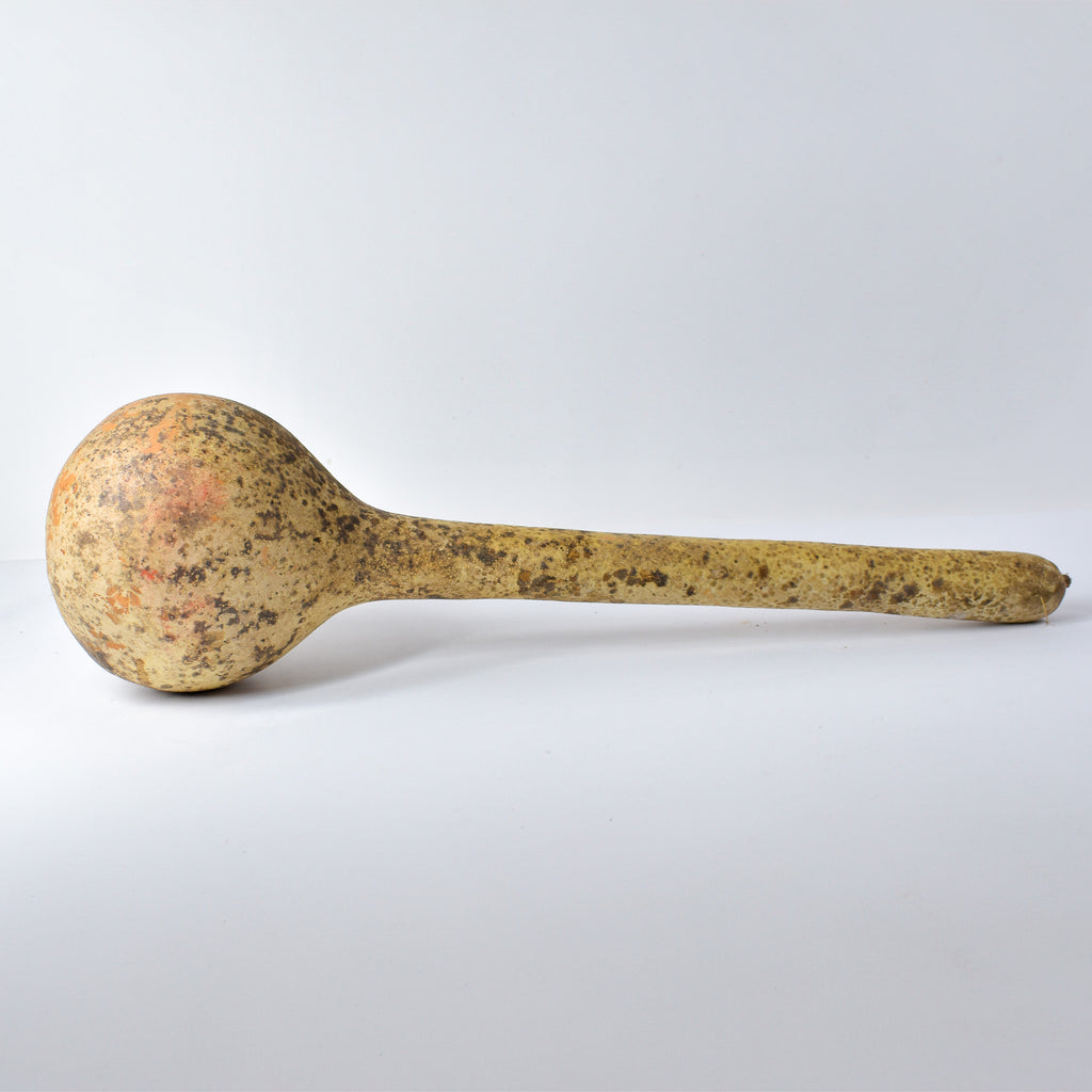 Calabash Shaker Gourd Asante Nigeria
