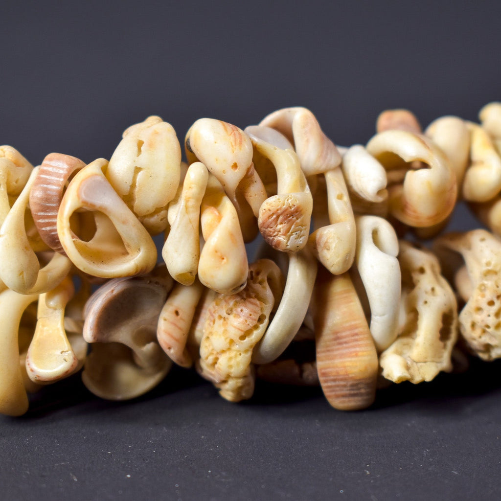 Old Mauritanian Shell Beads 30 Inch