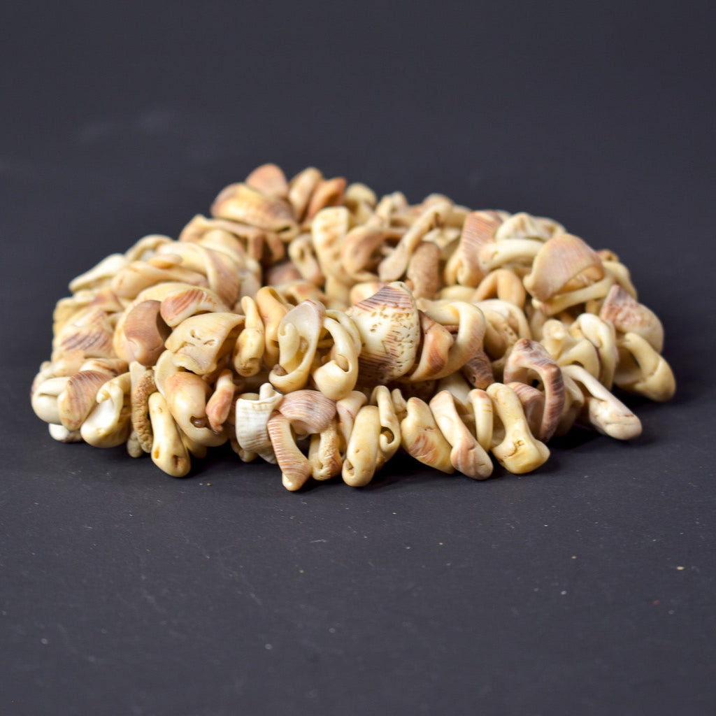 Old Mauritanian Shell Beads 30 Inch