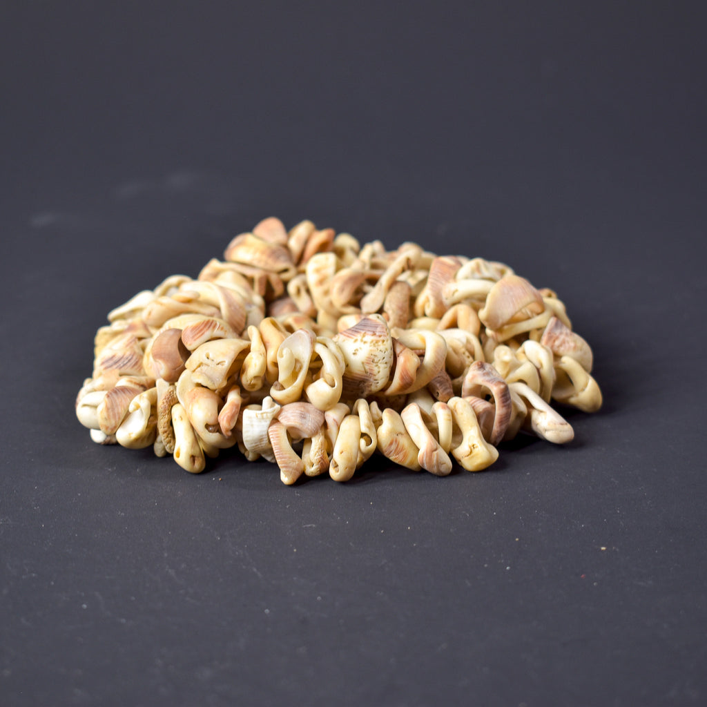 Old Mauritanian Shell Beads 30 Inch