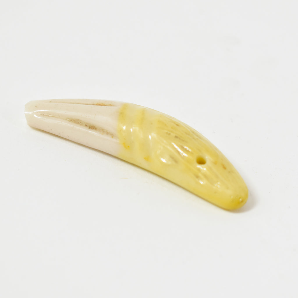 French Faux Lions Tooth Glass Pendant