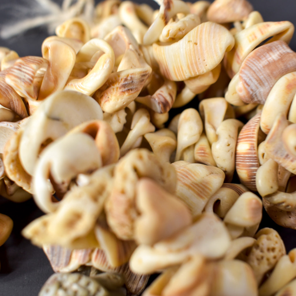 Old Mauritanian Shell Beads 30 Inch