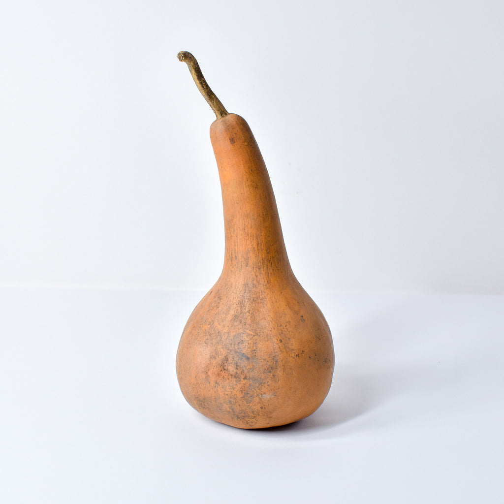 Calabash Shaker Gourd Asante Nigeria