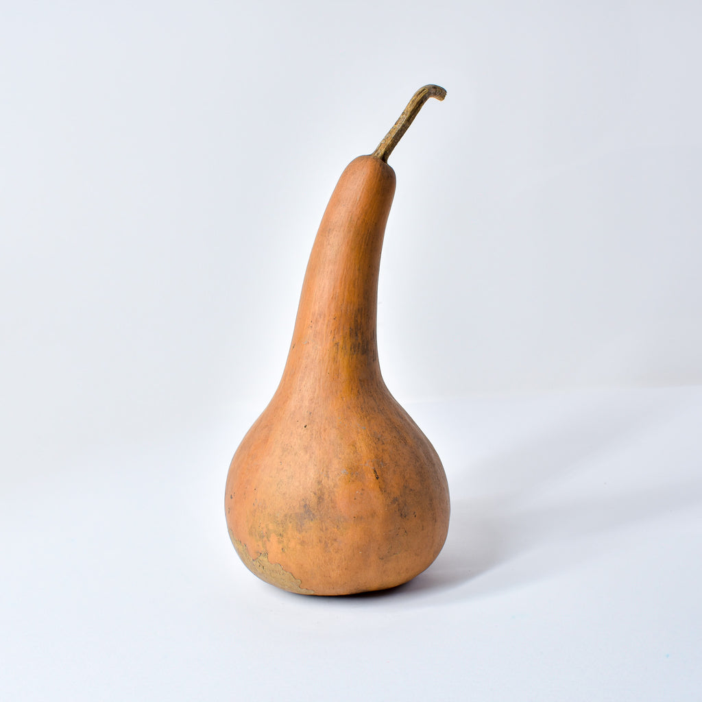 Calabash Shaker Gourd Asante Nigeria